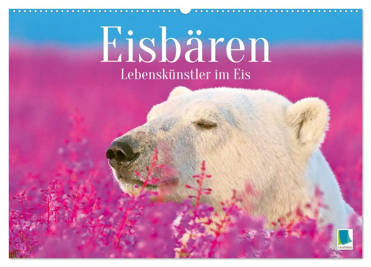 Cover: 9783516647099 | Eisbären: Lebenskünstler im Eis (Wandkalender 2026 DIN A2 quer),...