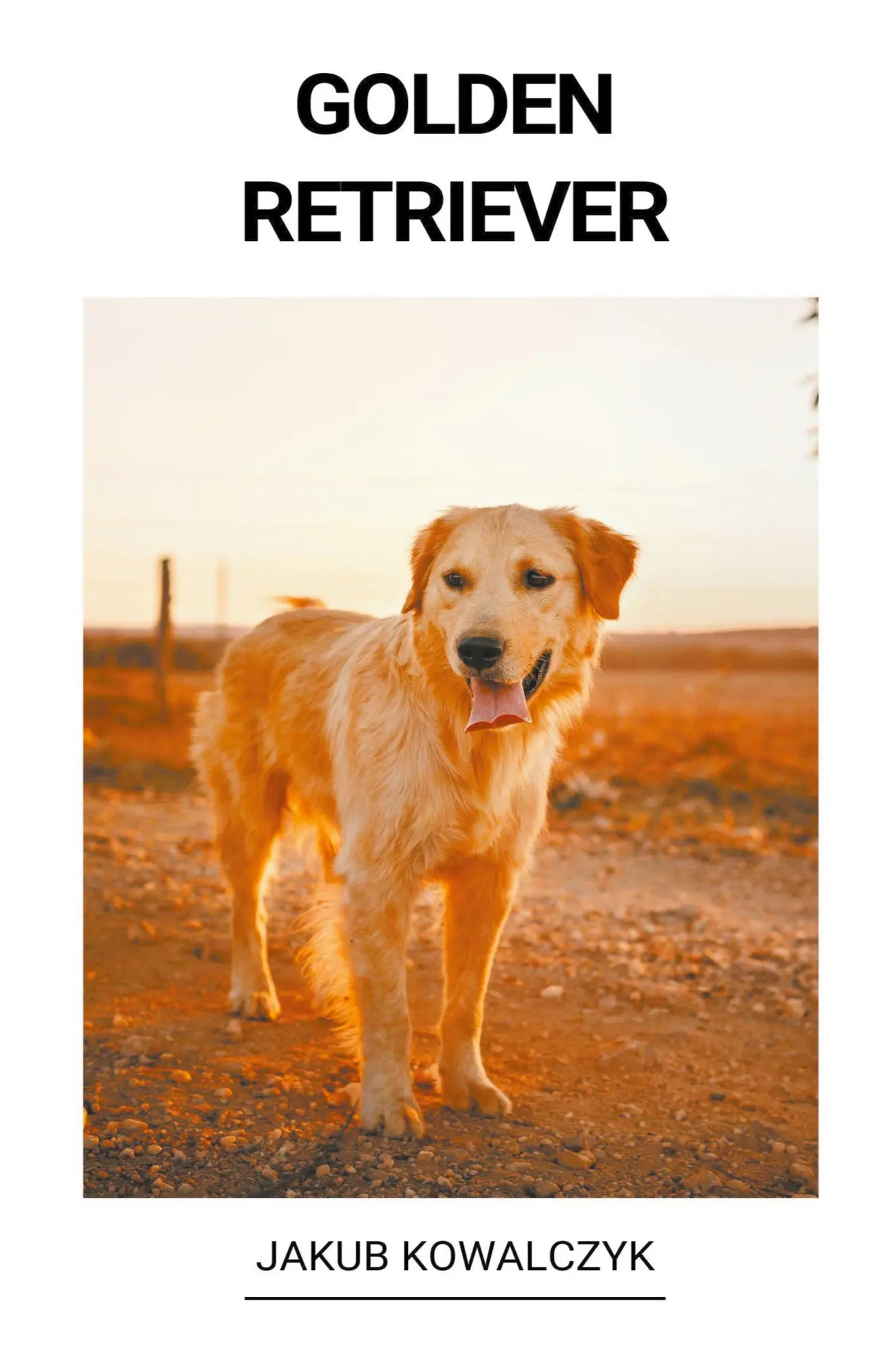 Cover: 9798215627099 | Golden Retriever | Jakub Kowalczyk | Taschenbuch | Polnisch | 2022