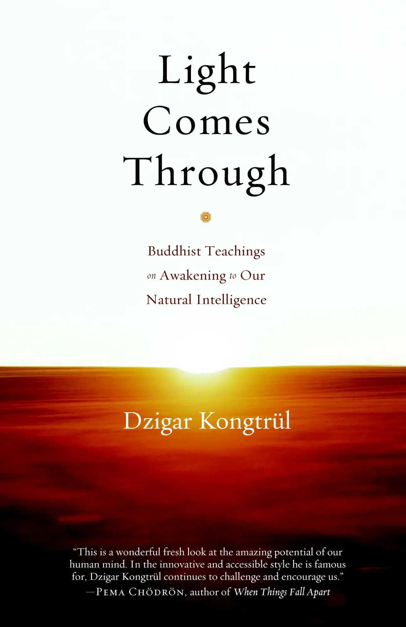 Cover: 9781590307199 | Light Comes Through | Dzigar Kongtrul | Taschenbuch | Englisch | 2009