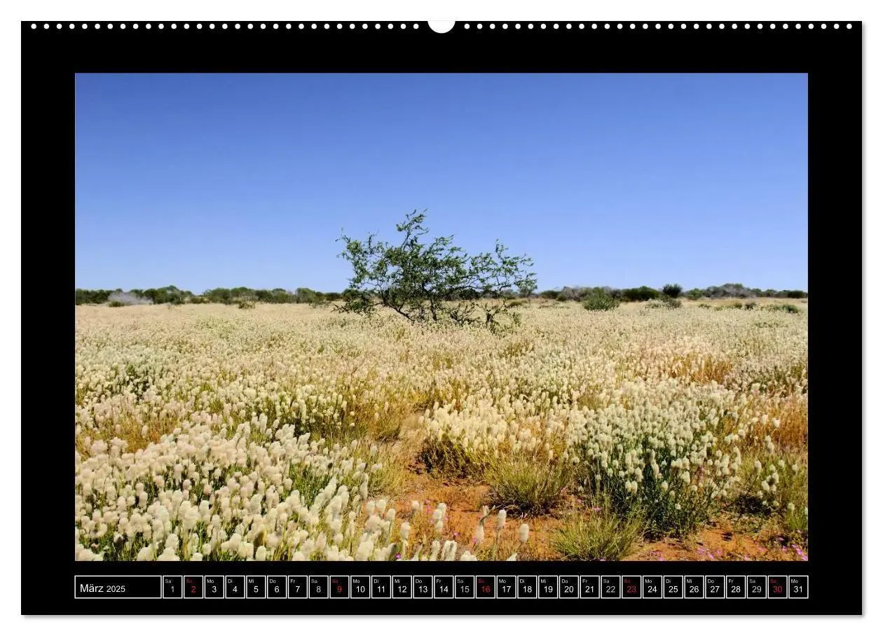Bild: 9783435697199 | Australien - Von Perth bis Darwin (Wandkalender 2025 DIN A2 quer),...