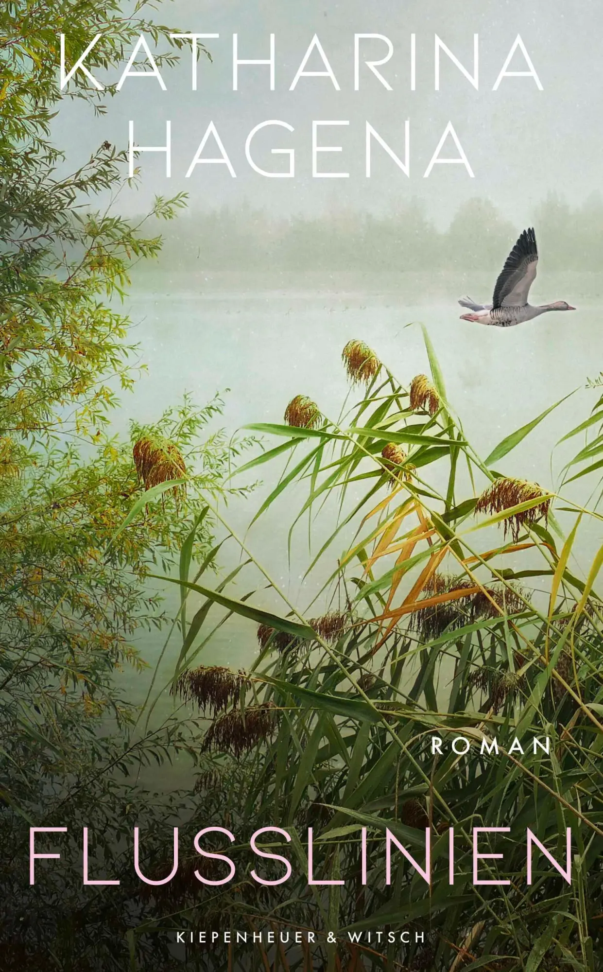 Cover: 9783462007299 | Flusslinien | Roman | Katharina Hagena | Buch | 400 S. | Deutsch