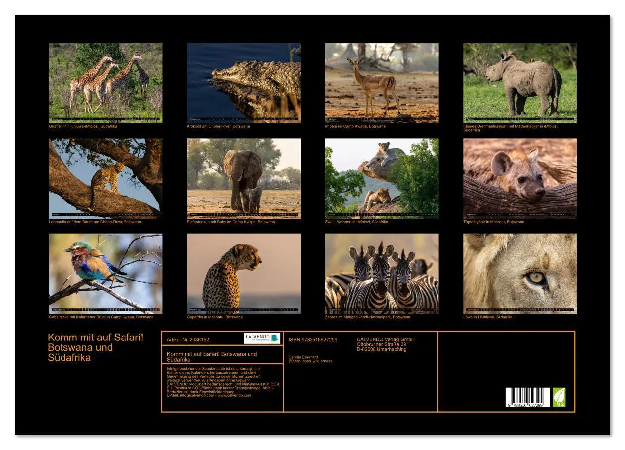 Bild: 9783516627299 | Komm mit auf Safari! Botswana und Südafrika (Wandkalender 2026 DIN...