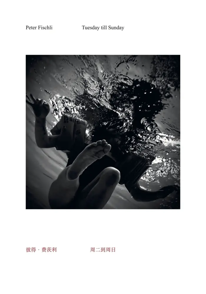 Cover: 9783753307299 | Peter Fischli. Tuesday till Sunday | Peter Fischli | Taschenbuch