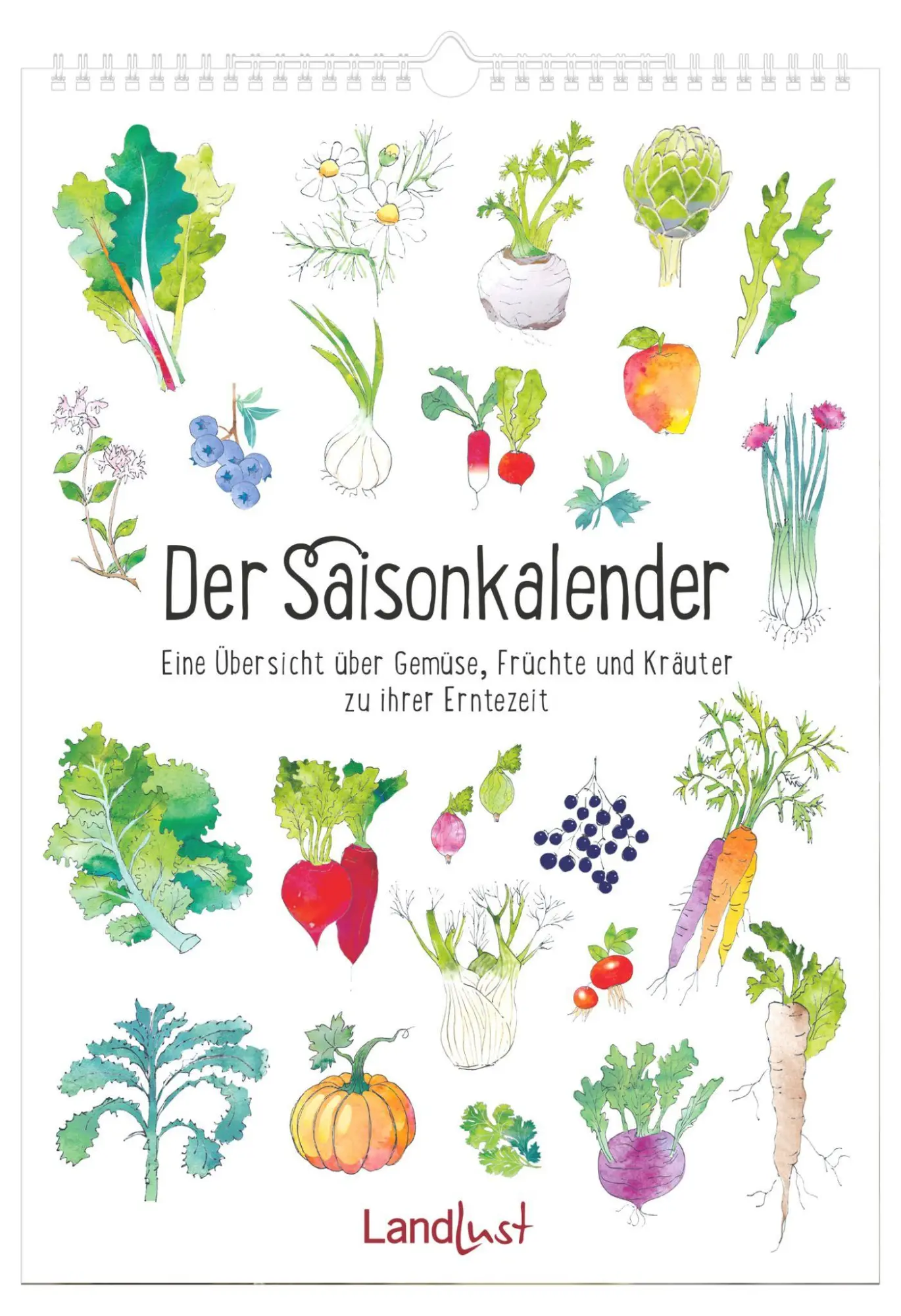 Cover: 4069095017399 | Der Saisonkalender | Neumann Verlage GmbH &amp; Co KG | Kalender | 16 S.