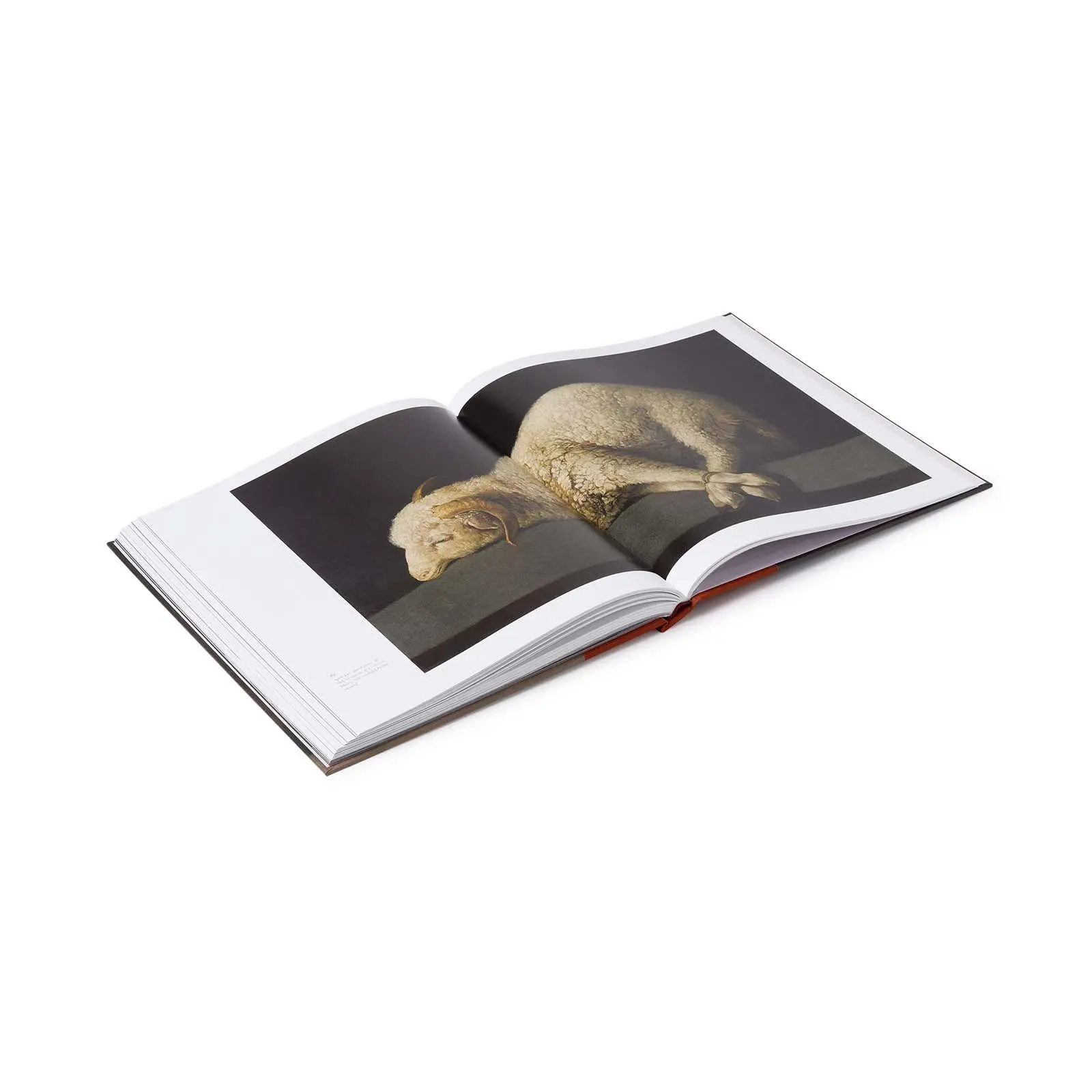 Bild: 9781857097399 | Zurbaran | Daniel Sobrino Ralston (u. a.) | Buch | Englisch | 2026