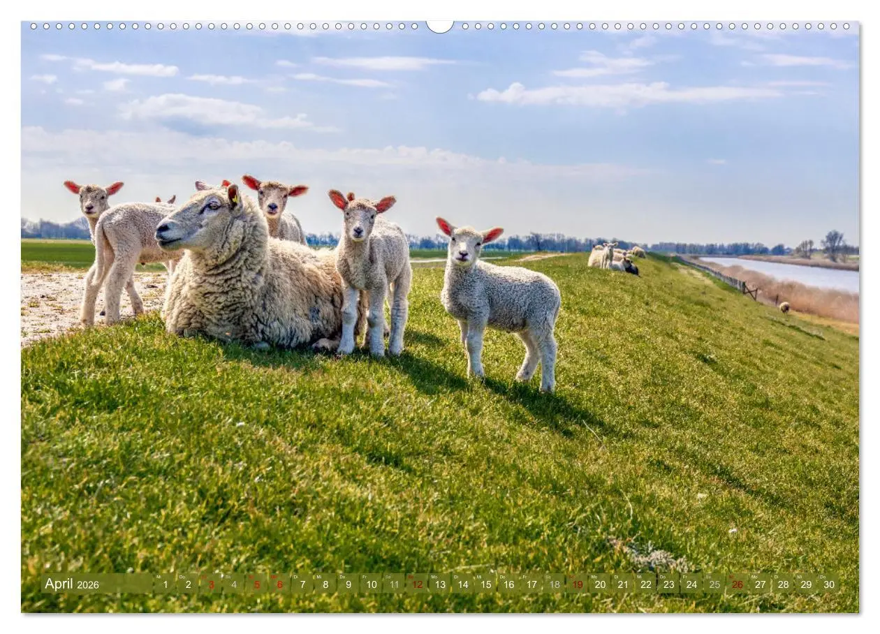 Bild: 9783457457399 | GREETSIEL-LIEBE (hochwertiger Premium Wandkalender 2026 DIN A2...