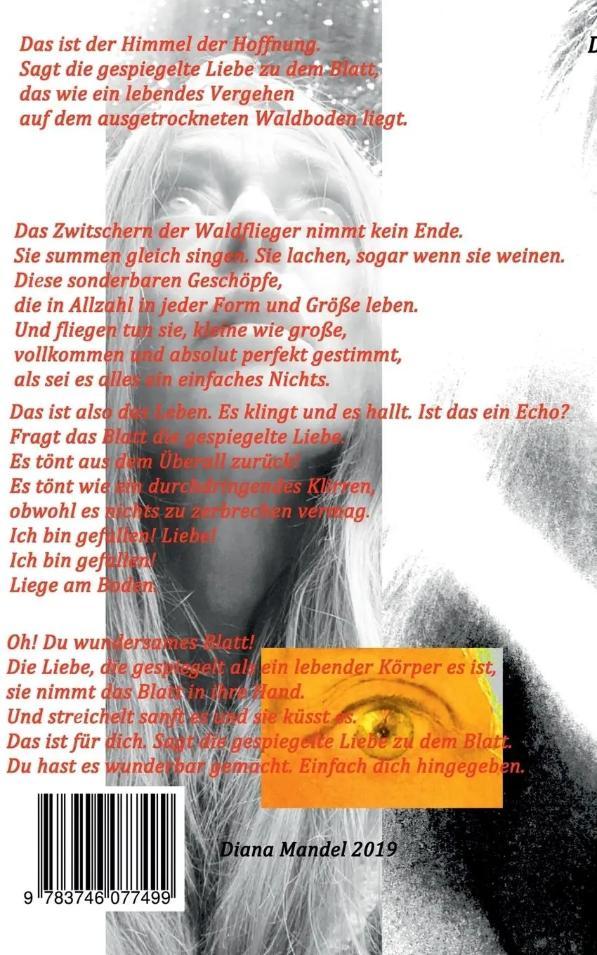 Rückseite: 9783746077499 | Für die Liebe auf Erden | Der gefallene Glaube | Diana Mandel | Buch