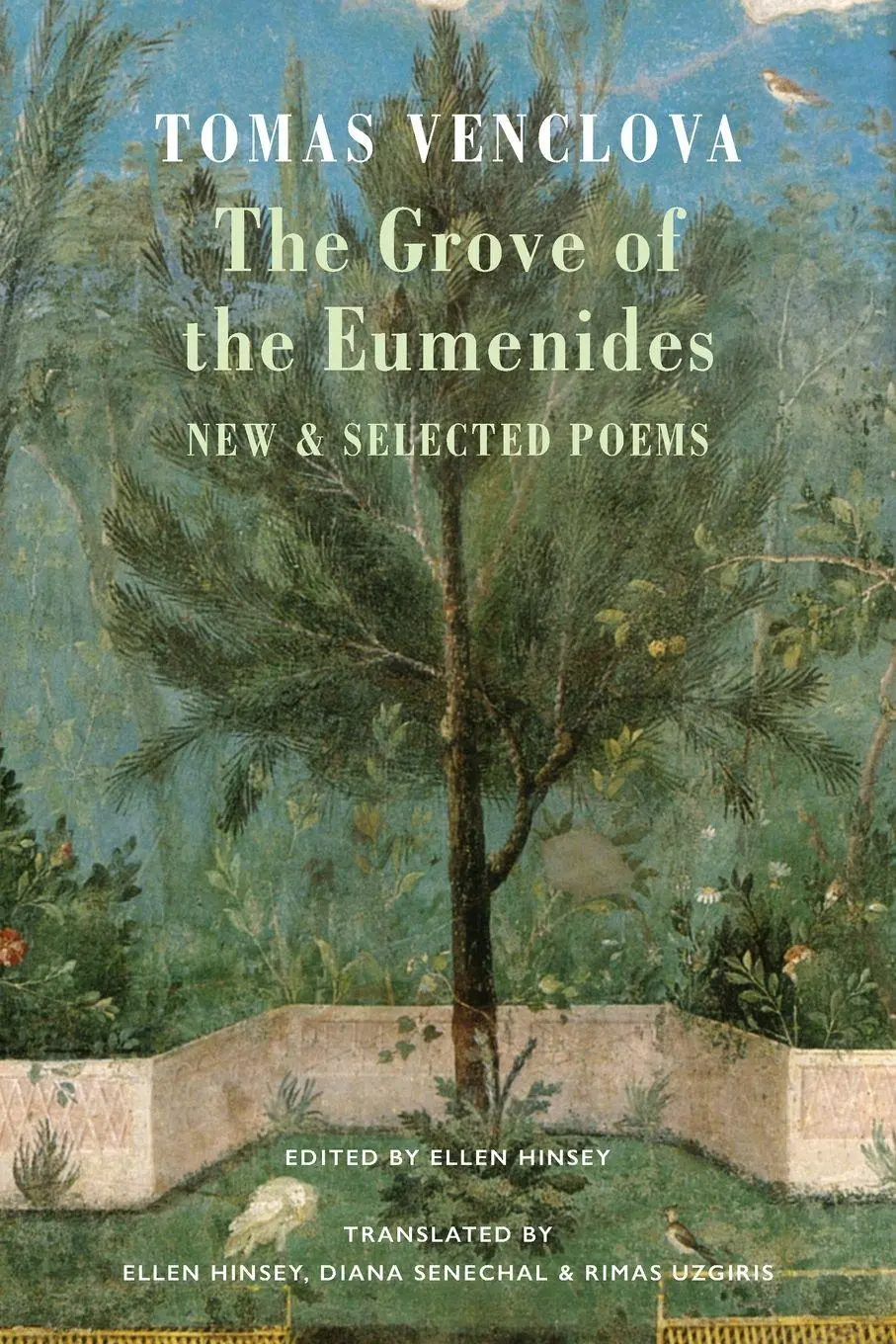 Cover: 9781780377599 | Grove of the Eumenides | New &amp; Selected Poems | Tomas Venclova | Buch