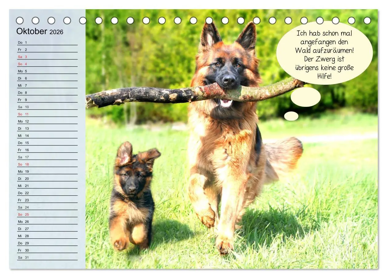 Bild: 9783457677599 | Hurra! Wir gehen Gassi! Abenteuer mit dem Hund! (Tischkalender 2026...