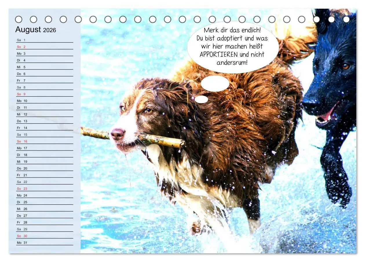 Bild: 9783457677599 | Hurra! Wir gehen Gassi! Abenteuer mit dem Hund! (Tischkalender 2026...