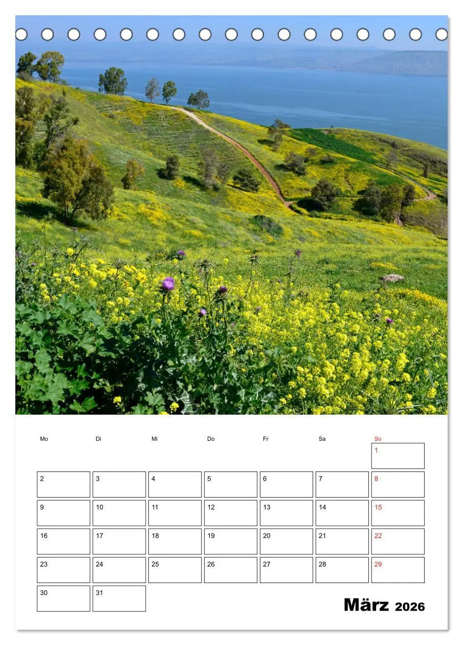Bild: 9783516387599 | Israel - Der Monatsplaner 2026 (Tischkalender 2026 DIN A5 hoch),...