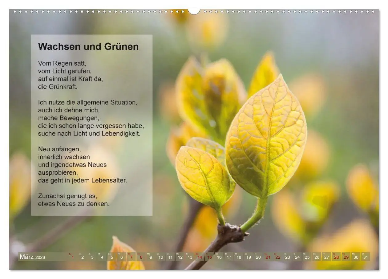Bild: 9783516697599 | Im Rhythmus der Jahreszeiten und des Kirchenjahres (Wandkalender...