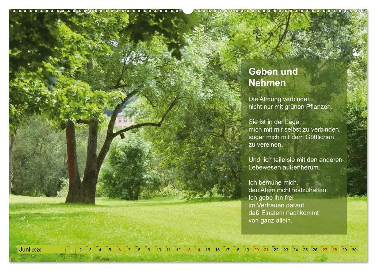 Bild: 9783516697599 | Im Rhythmus der Jahreszeiten und des Kirchenjahres (Wandkalender...