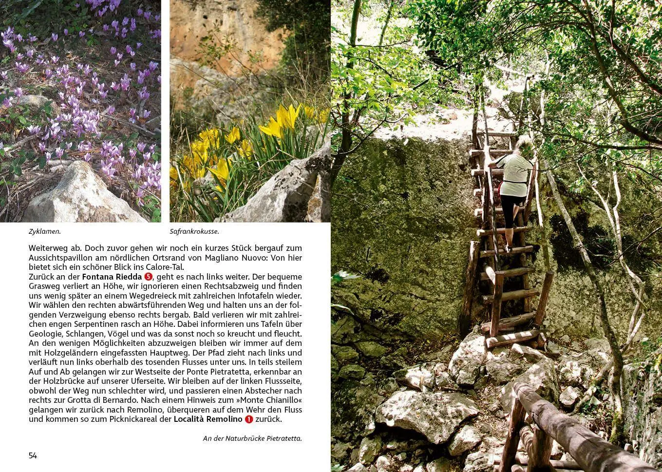 Bild: 9783763347599 | ROTHER Wanderführer Cilento | Hans M. Tuschar (u. a.) | Taschenbuch