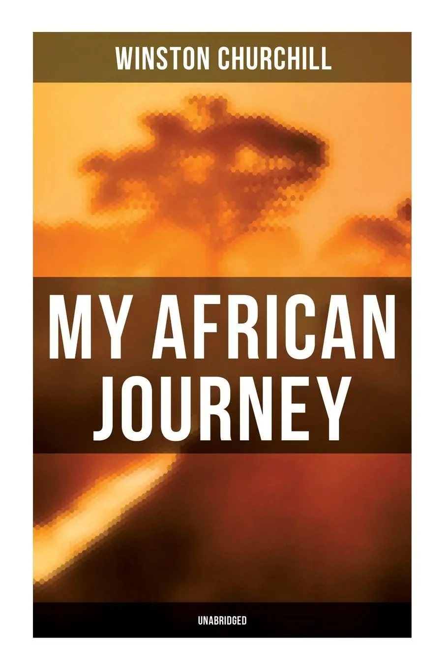 Cover: 9788027277599 | My African Journey (Unabridged) | Winston Churchill | Taschenbuch