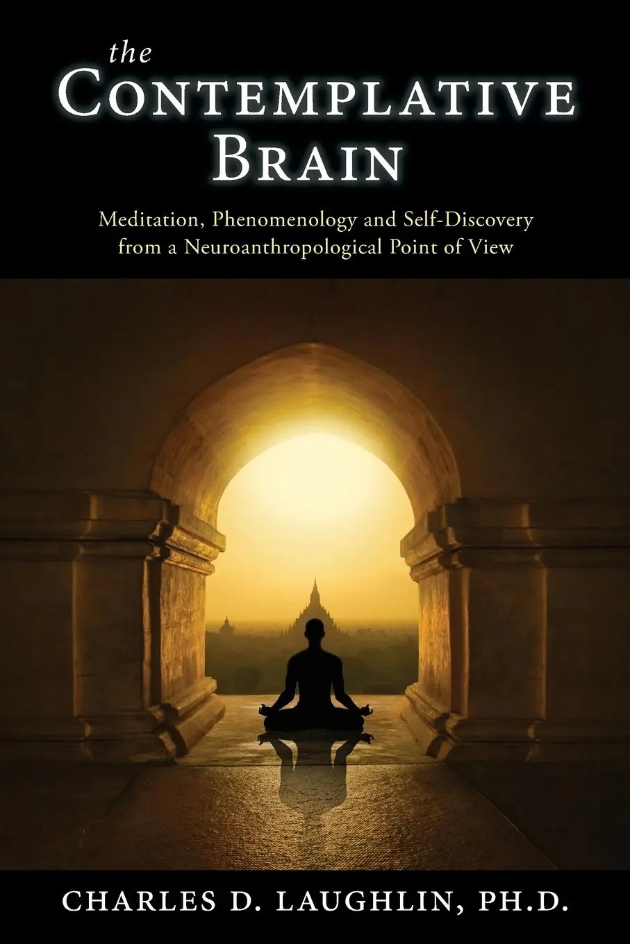 Cover: 9780994617699 | The Contemplative Brain: Meditation, Phenomenology and...