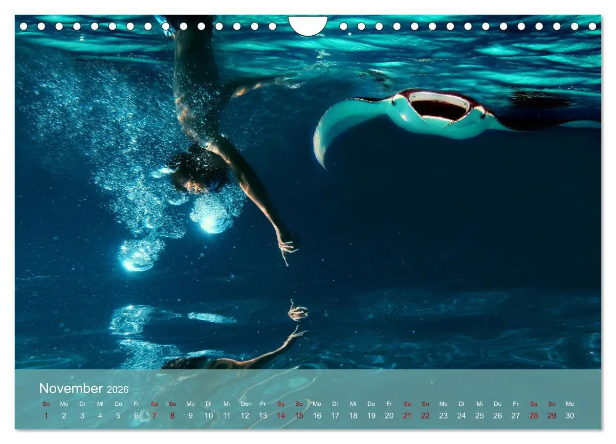 Bild: 9783457597699 | Erlebnis Tauchen - faszinierende Unterwasserwelt (Wandkalender 2026...