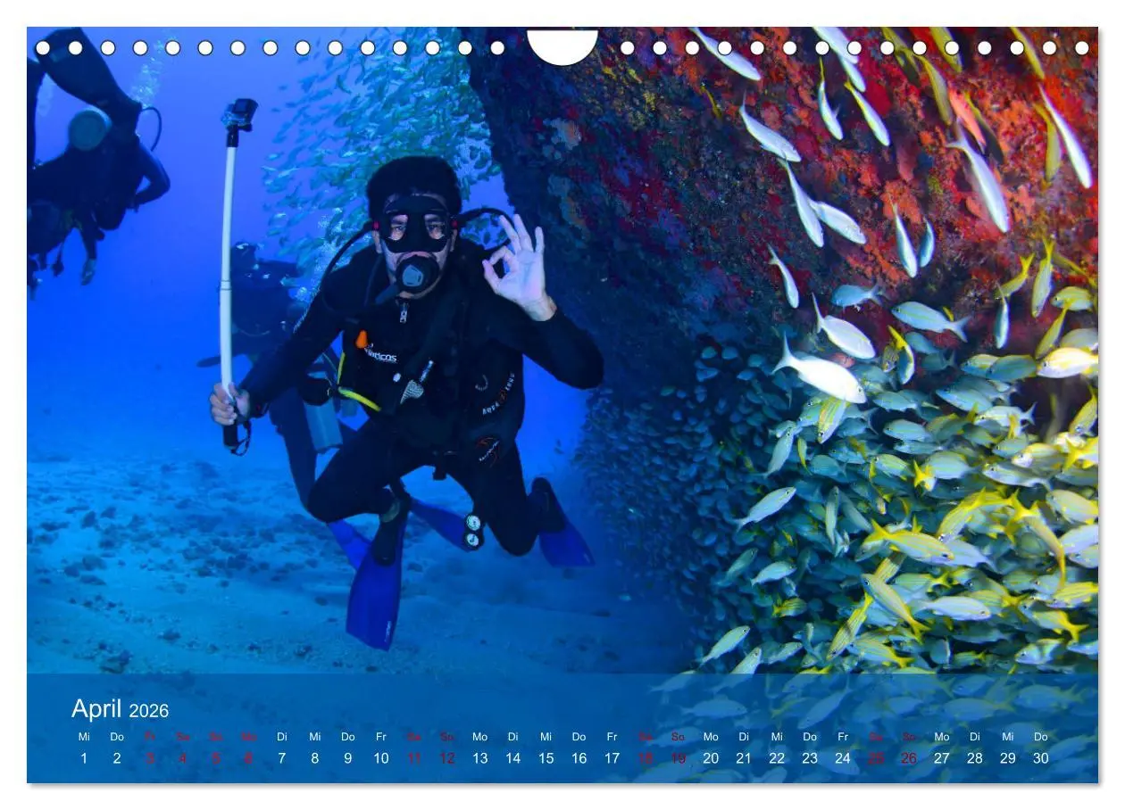 Bild: 9783457597699 | Erlebnis Tauchen - faszinierende Unterwasserwelt (Wandkalender 2026...