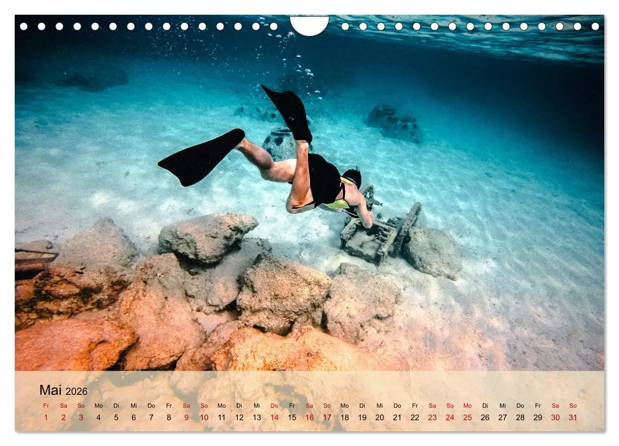 Bild: 9783457597699 | Erlebnis Tauchen - faszinierende Unterwasserwelt (Wandkalender 2026...