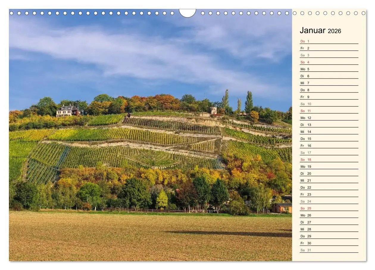 Bild: 9783457977699 | Saale-Unstrut - Region aus Wein und Stein (Wandkalender 2026 DIN A3...