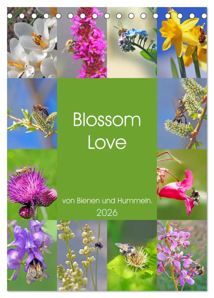 Cover: 9783516377699 | Blossom Love, von Bienen und Hummeln (Tischkalender 2026 DIN A5...