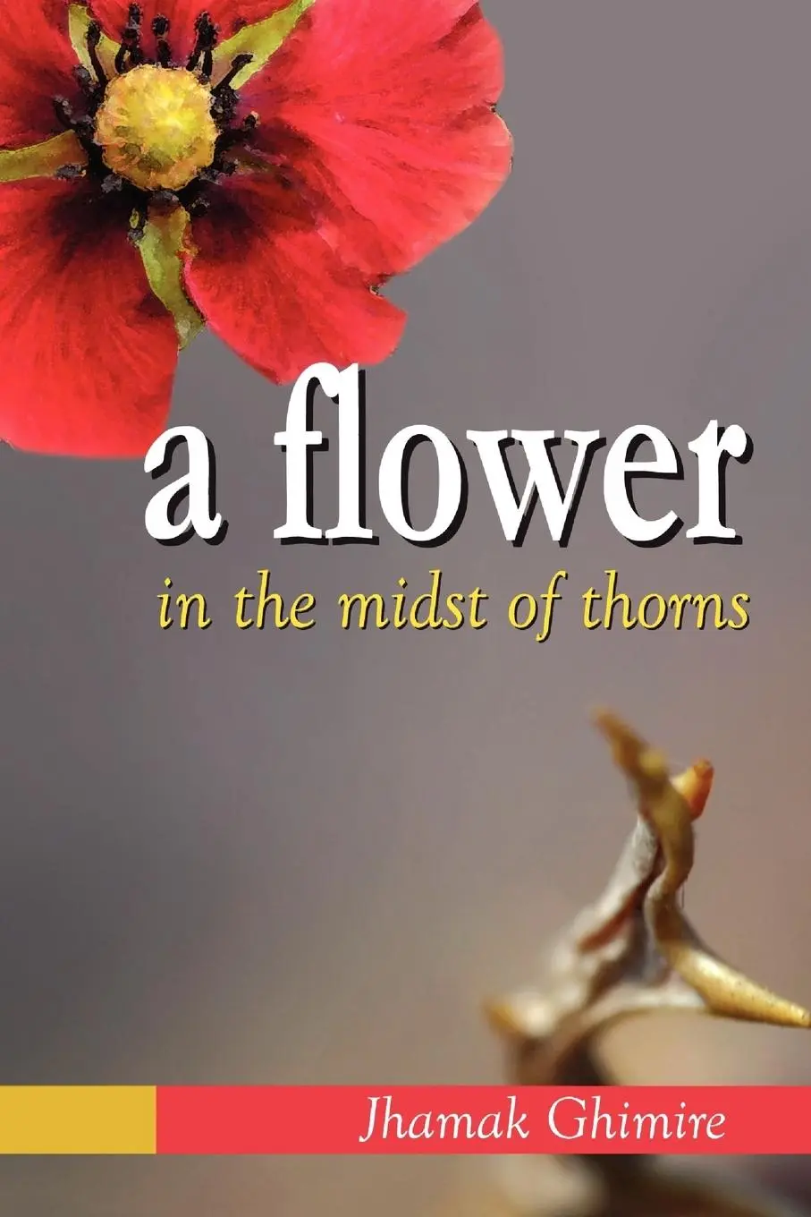 Cover: 9781477107799 | A Flower in the Midst of Thorns | Jhamak Ghimire | Taschenbuch | 2012
