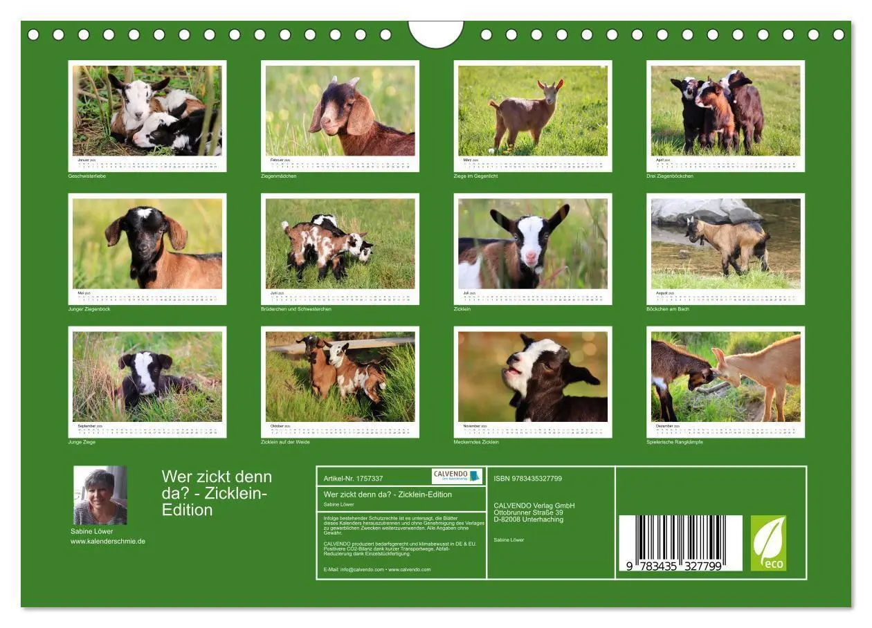 Bild: 9783435327799 | Wer zickt denn da? - Zicklein-Edition (Wandkalender 2025 DIN A4...