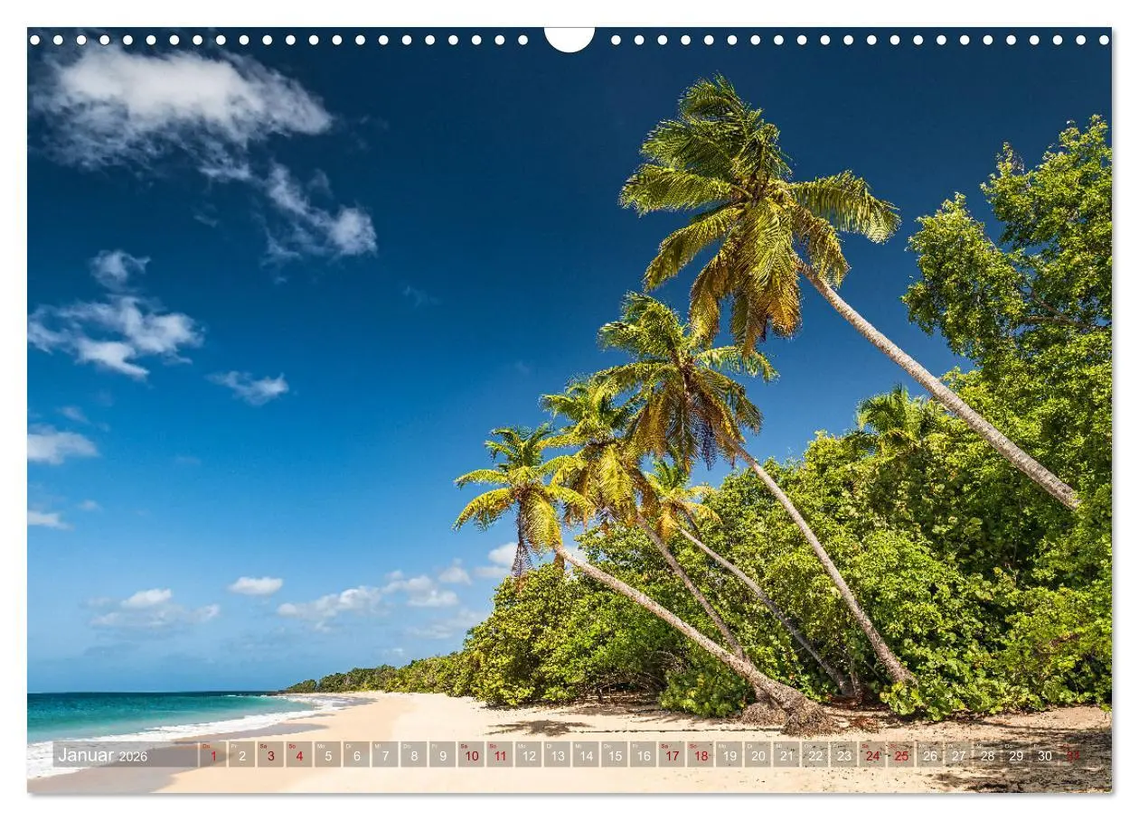 Bild: 9783457657799 | Karibik - Traumstrände (Wandkalender 2026 DIN A3 quer), CALVENDO...
