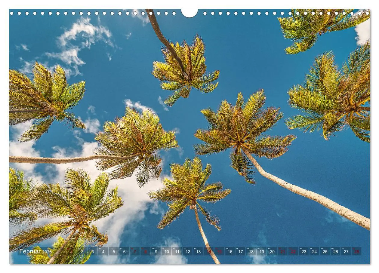 Bild: 9783457657799 | Karibik - Traumstrände (Wandkalender 2026 DIN A3 quer), CALVENDO...
