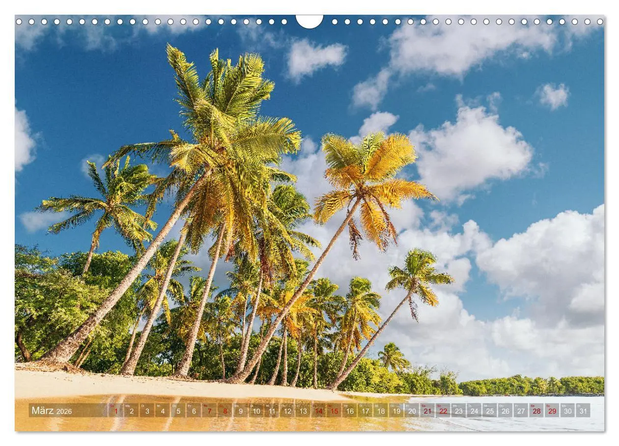 Bild: 9783457657799 | Karibik - Traumstrände (Wandkalender 2026 DIN A3 quer), CALVENDO...