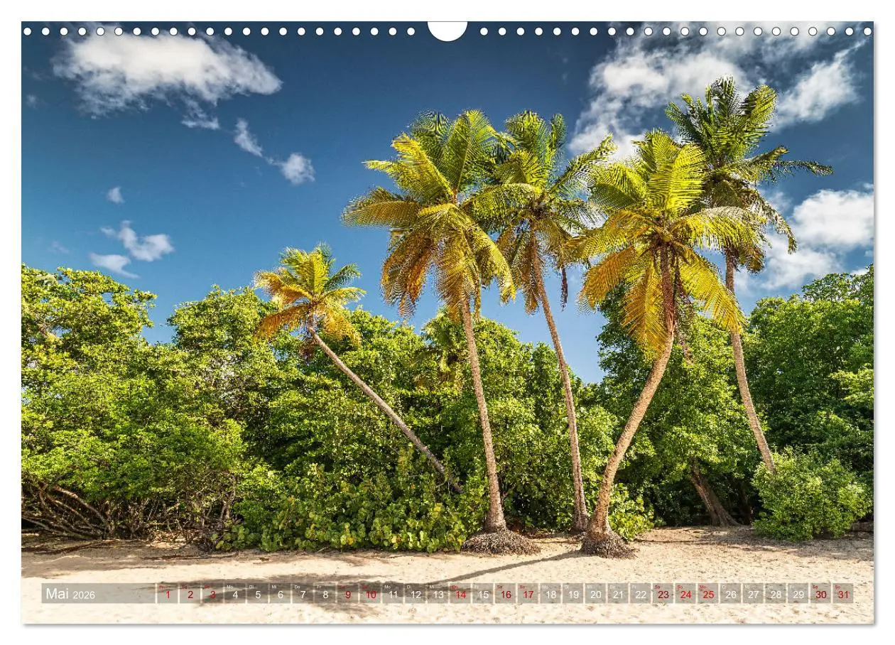 Bild: 9783457657799 | Karibik - Traumstrände (Wandkalender 2026 DIN A3 quer), CALVENDO...