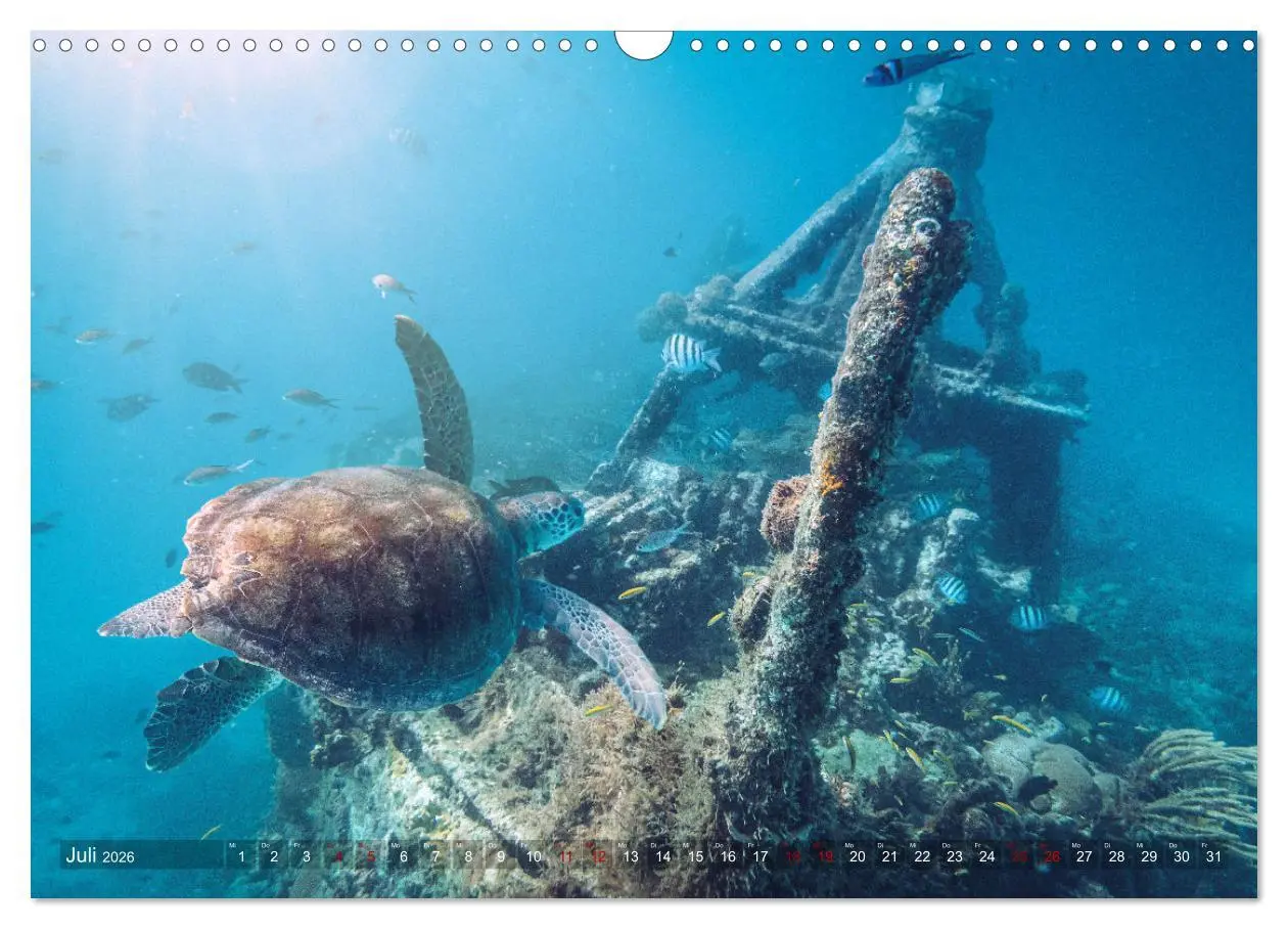Bild: 9783457657799 | Karibik - Traumstrände (Wandkalender 2026 DIN A3 quer), CALVENDO...