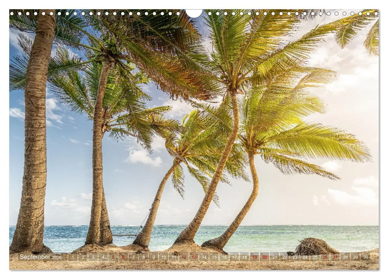 Bild: 9783457657799 | Karibik - Traumstrände (Wandkalender 2026 DIN A3 quer), CALVENDO...