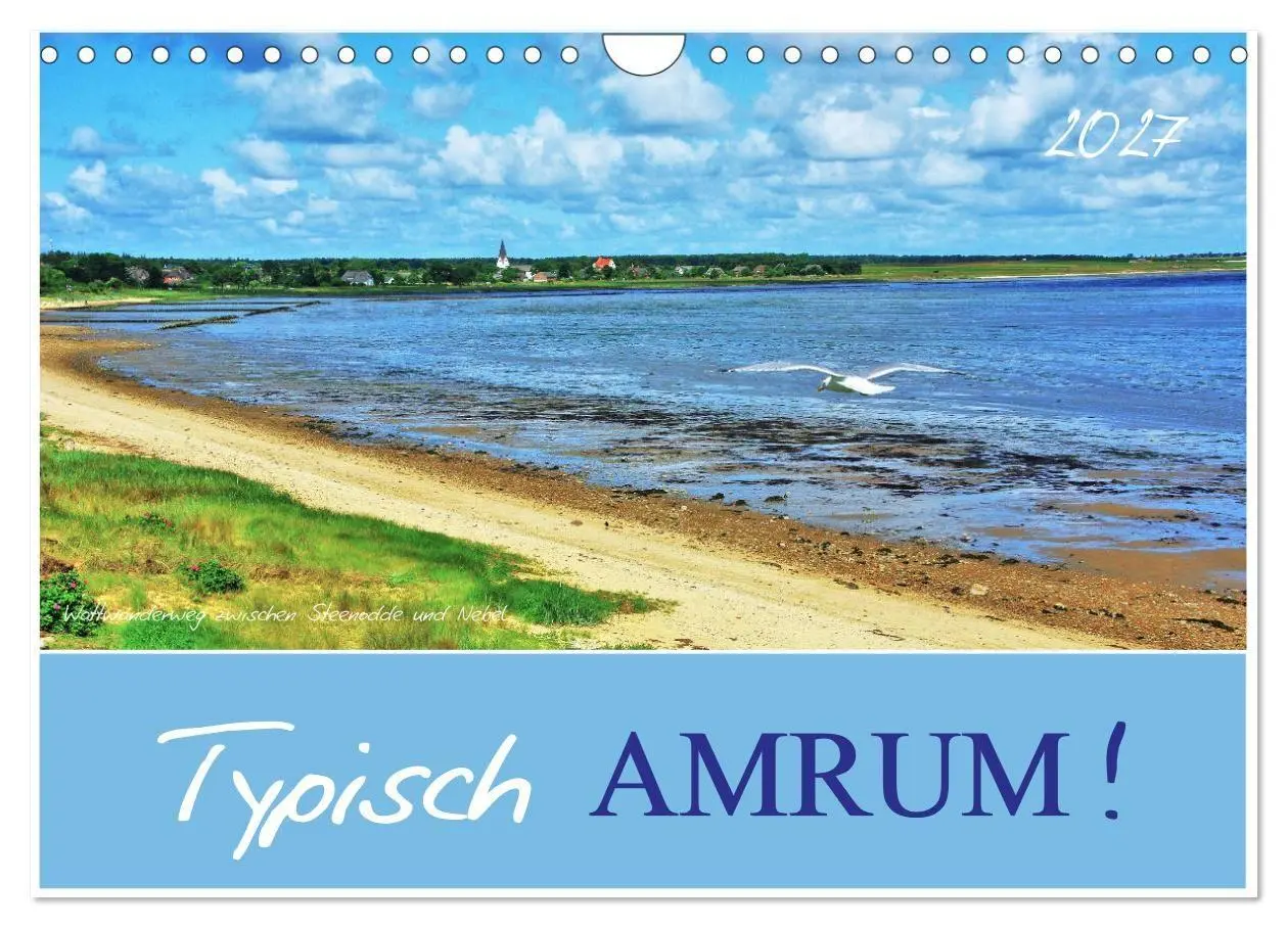 Cover: 9783569837799 | Typisch Amrum! (Wandkalender 2027 DIN A4 quer), CALVENDO...