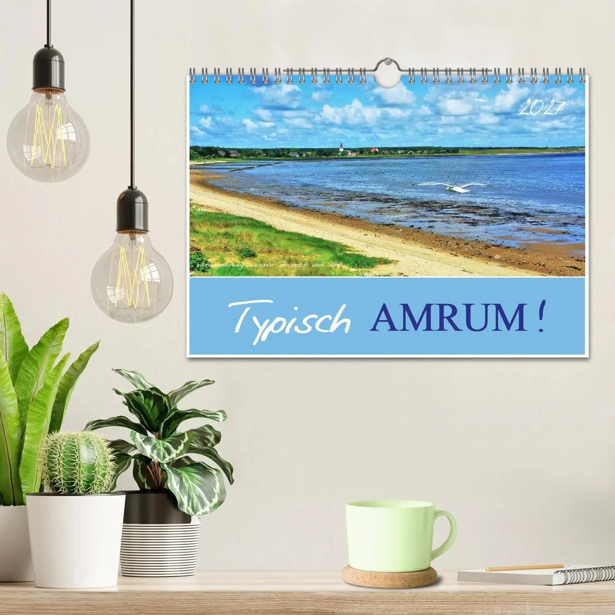 Bild: 9783569837799 | Typisch Amrum! (Wandkalender 2027 DIN A4 quer), CALVENDO...
