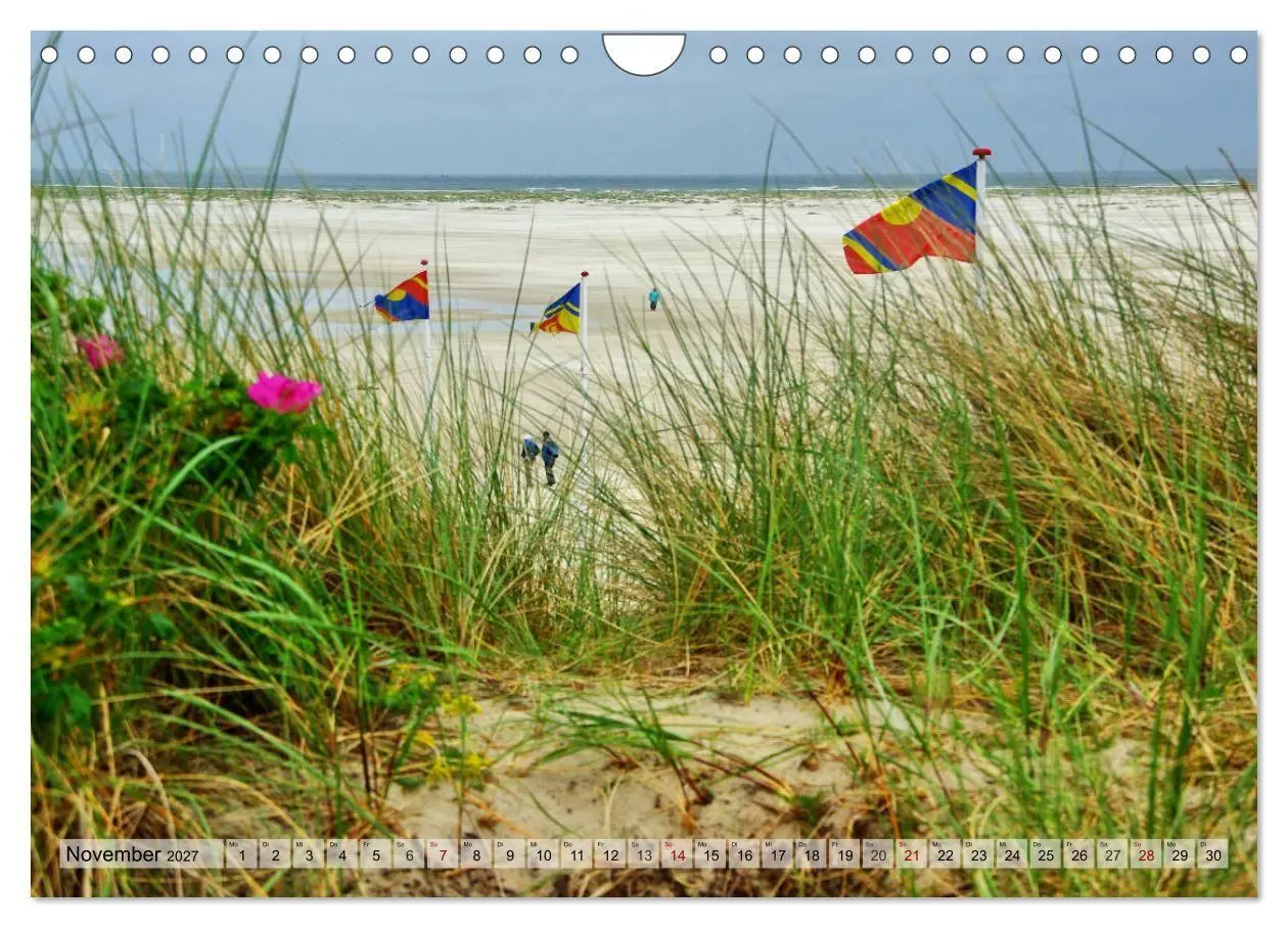 Bild: 9783569837799 | Typisch Amrum! (Wandkalender 2027 DIN A4 quer), CALVENDO...