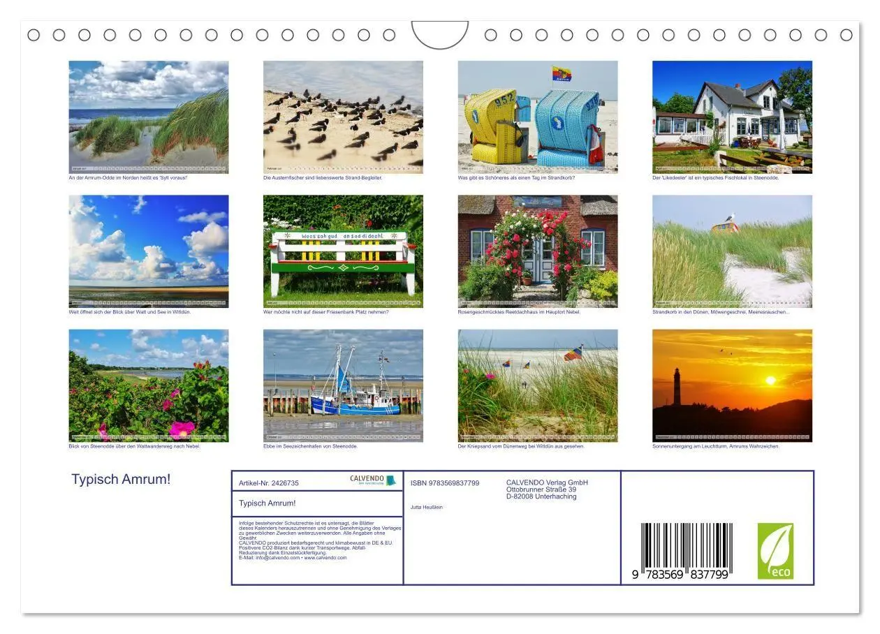 Bild: 9783569837799 | Typisch Amrum! (Wandkalender 2027 DIN A4 quer), CALVENDO...