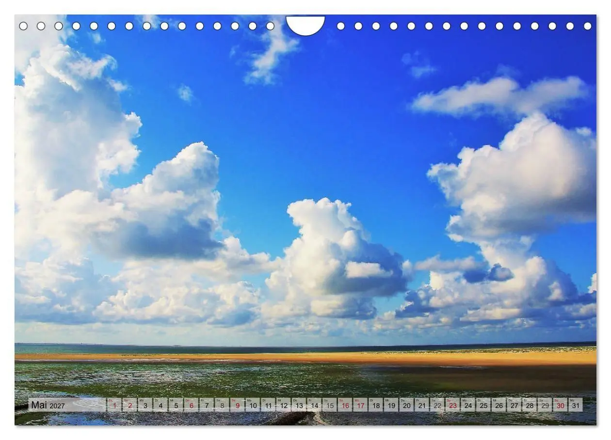 Bild: 9783569837799 | Typisch Amrum! (Wandkalender 2027 DIN A4 quer), CALVENDO...