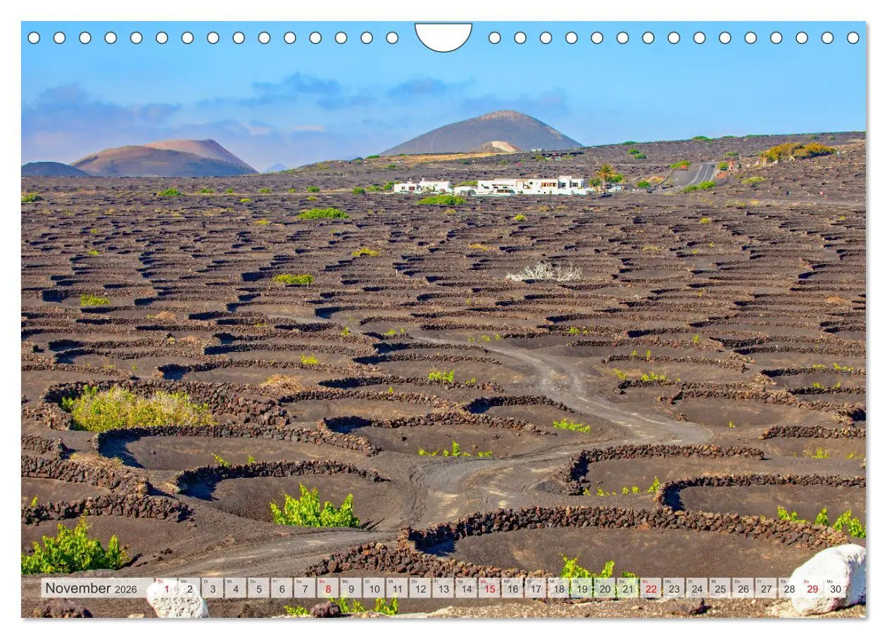 Bild: 9783457337899 | Urlaubsparadies Lanzarote (Wandkalender 2026 DIN A4 quer), CALVENDO...