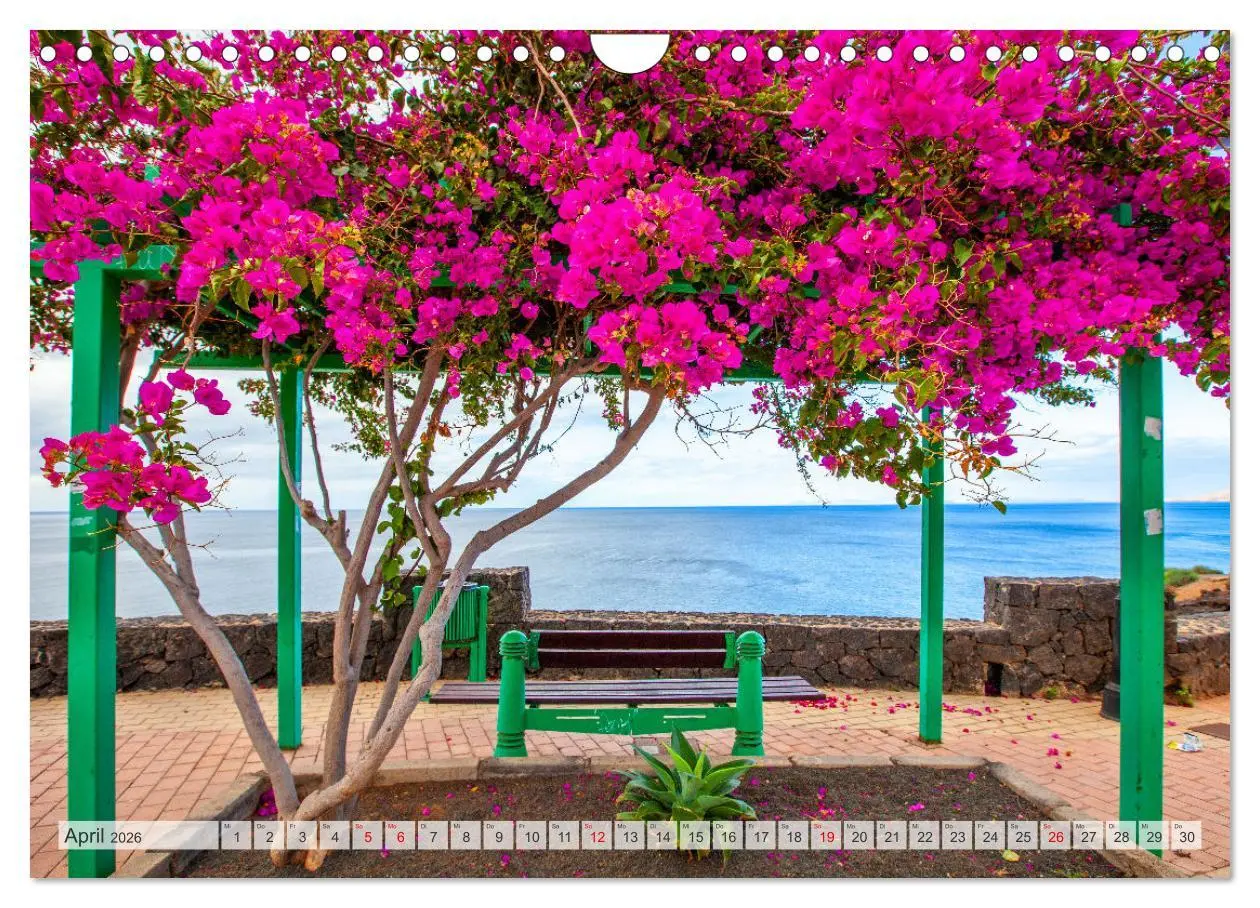 Bild: 9783457337899 | Urlaubsparadies Lanzarote (Wandkalender 2026 DIN A4 quer), CALVENDO...