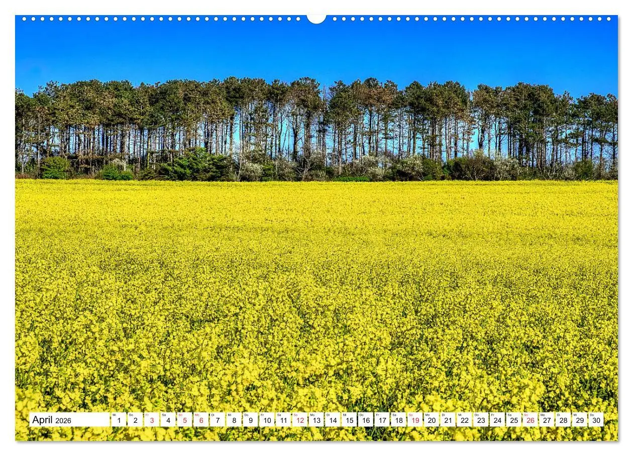 Bild: 9783457717899 | Norddeutsche Landschaften (hochwertiger Premium Wandkalender 2026...
