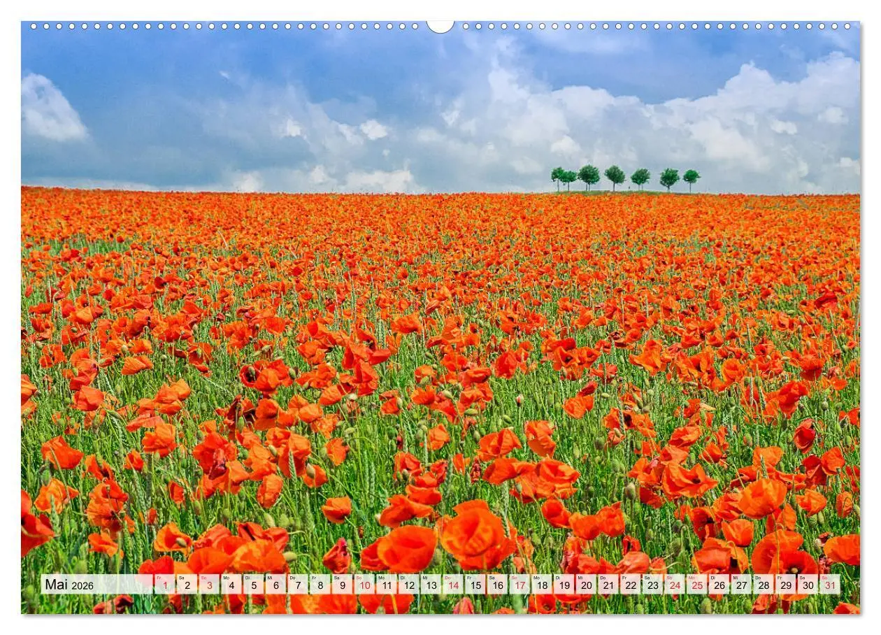Bild: 9783457717899 | Norddeutsche Landschaften (hochwertiger Premium Wandkalender 2026...