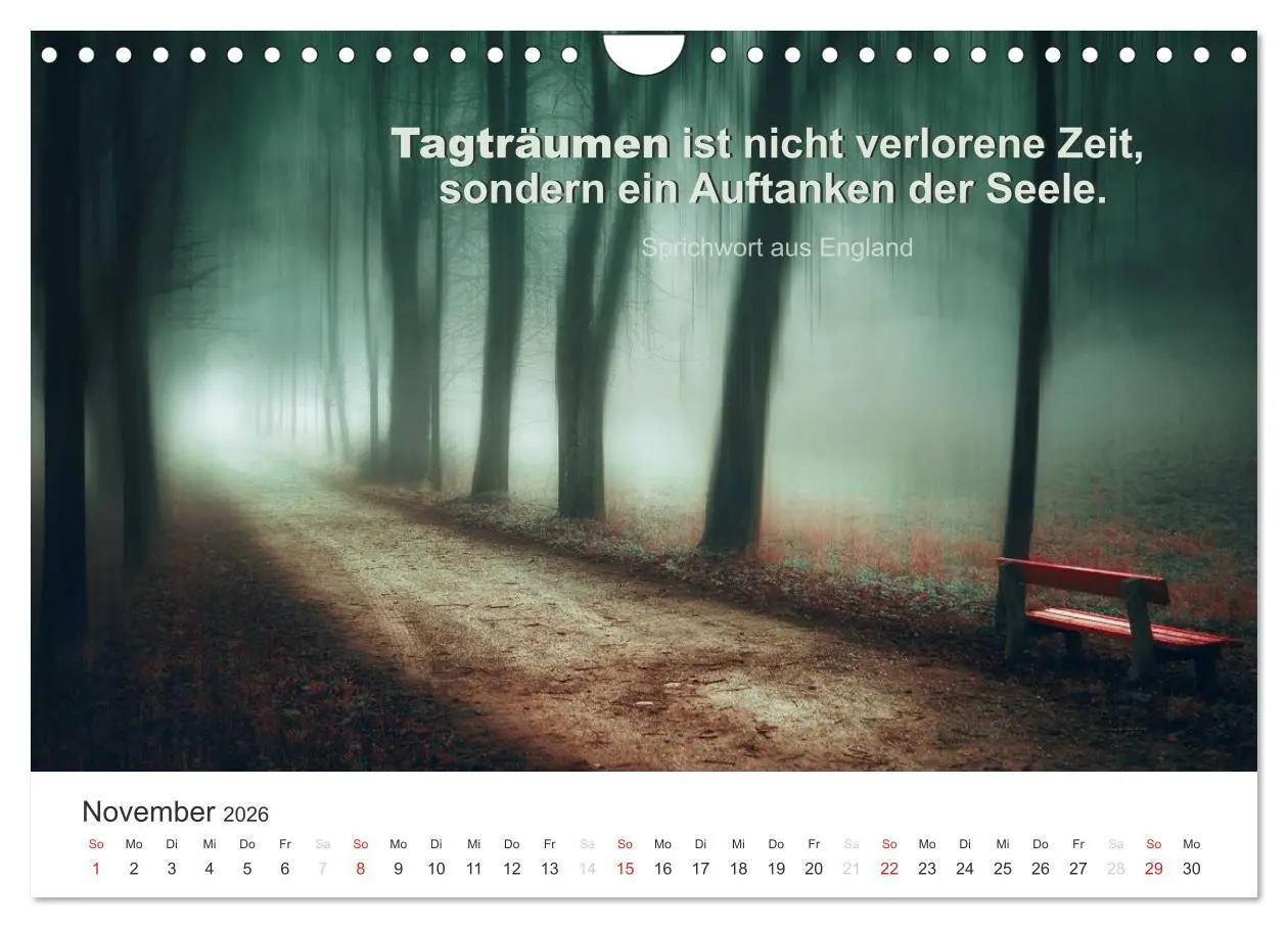 Bild: 9783457957899 | Zauberhafte Sprüche - Bunte Seelenblüten (Wandkalender 2026 DIN A4...