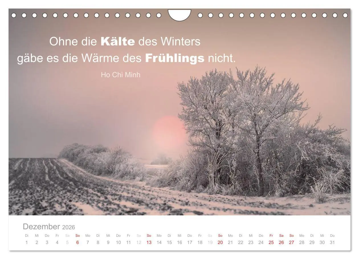 Bild: 9783457957899 | Zauberhafte Sprüche - Bunte Seelenblüten (Wandkalender 2026 DIN A4...