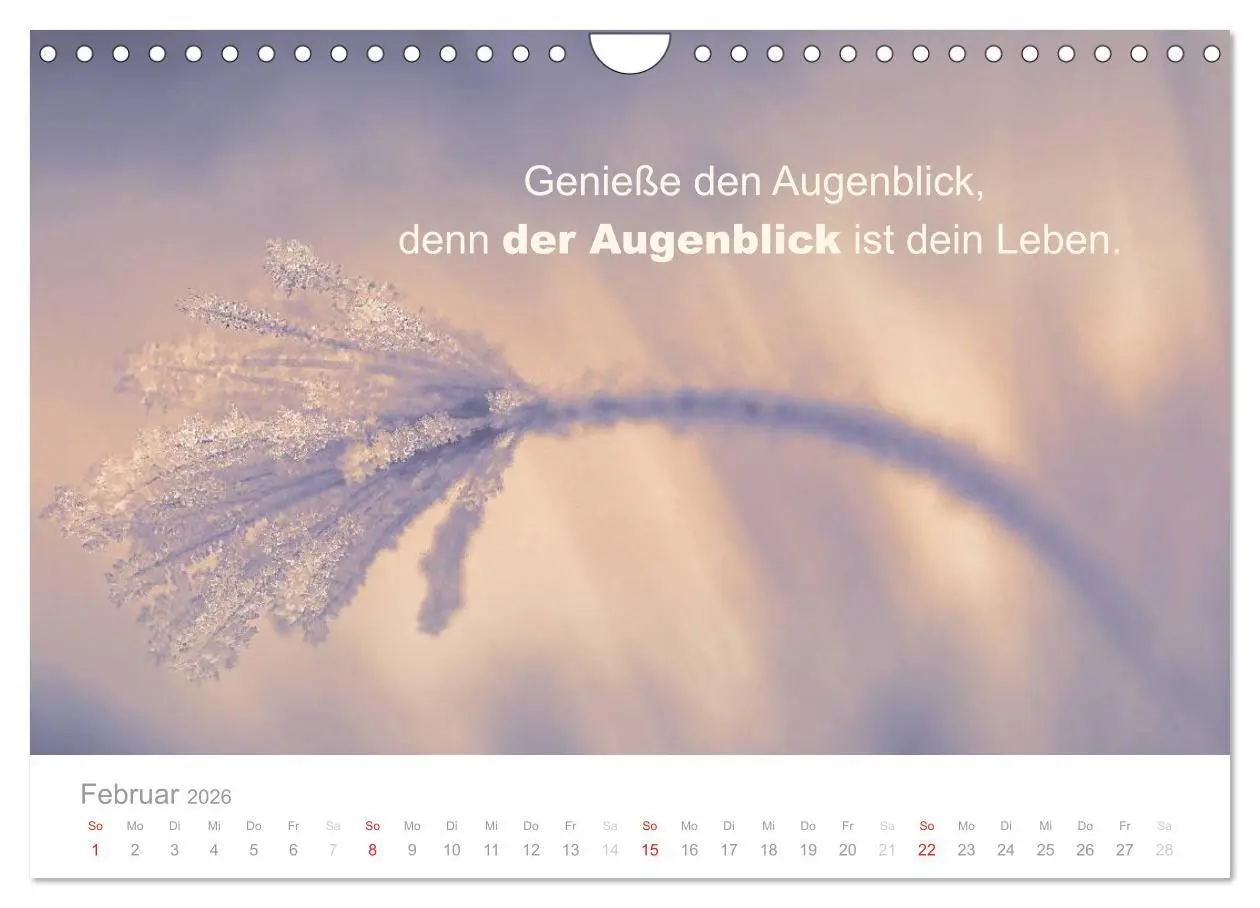 Bild: 9783457957899 | Zauberhafte Sprüche - Bunte Seelenblüten (Wandkalender 2026 DIN A4...