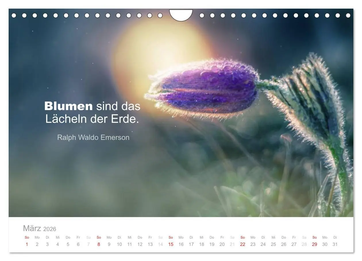 Bild: 9783457957899 | Zauberhafte Sprüche - Bunte Seelenblüten (Wandkalender 2026 DIN A4...