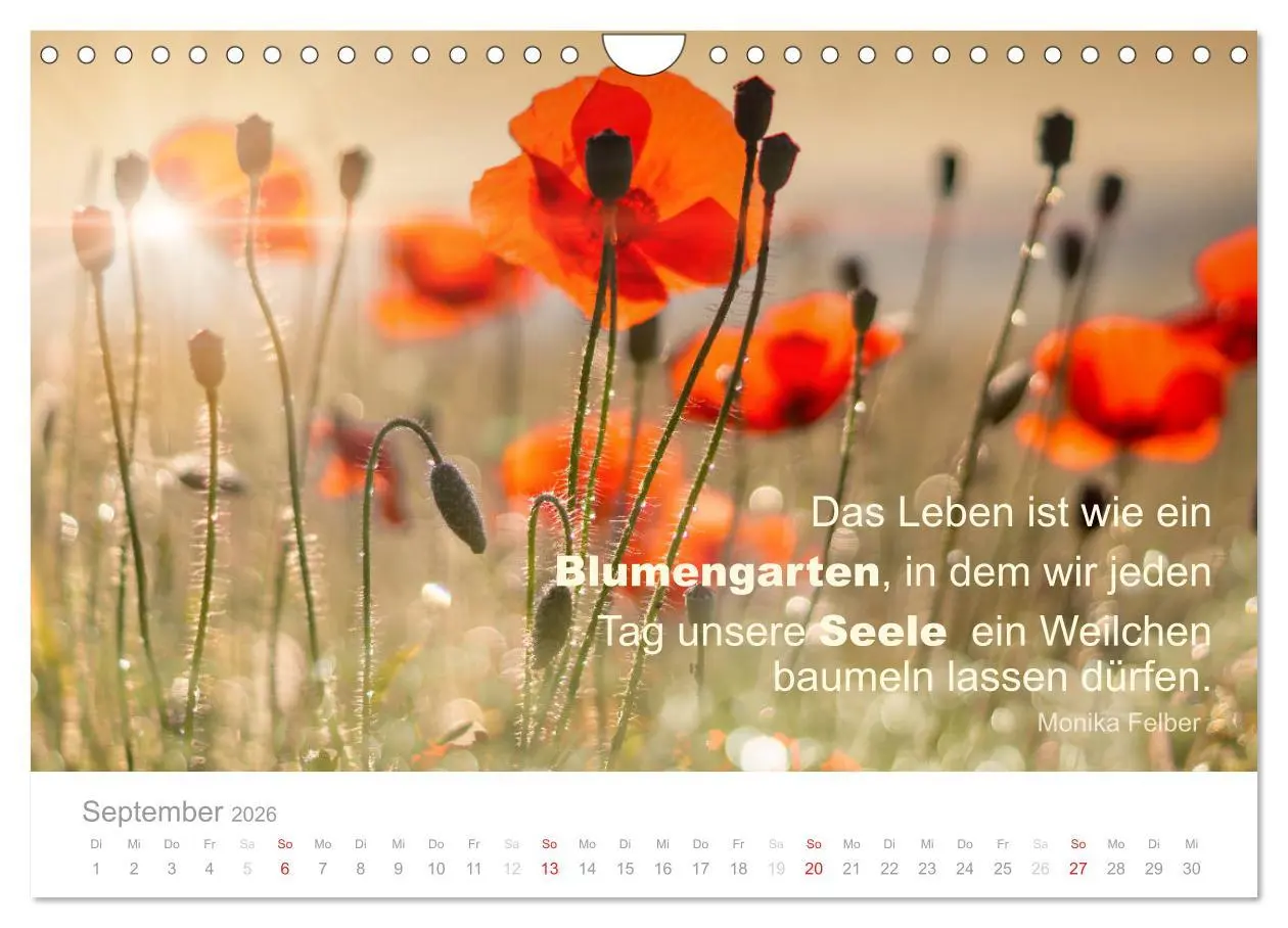 Bild: 9783457957899 | Zauberhafte Sprüche - Bunte Seelenblüten (Wandkalender 2026 DIN A4...