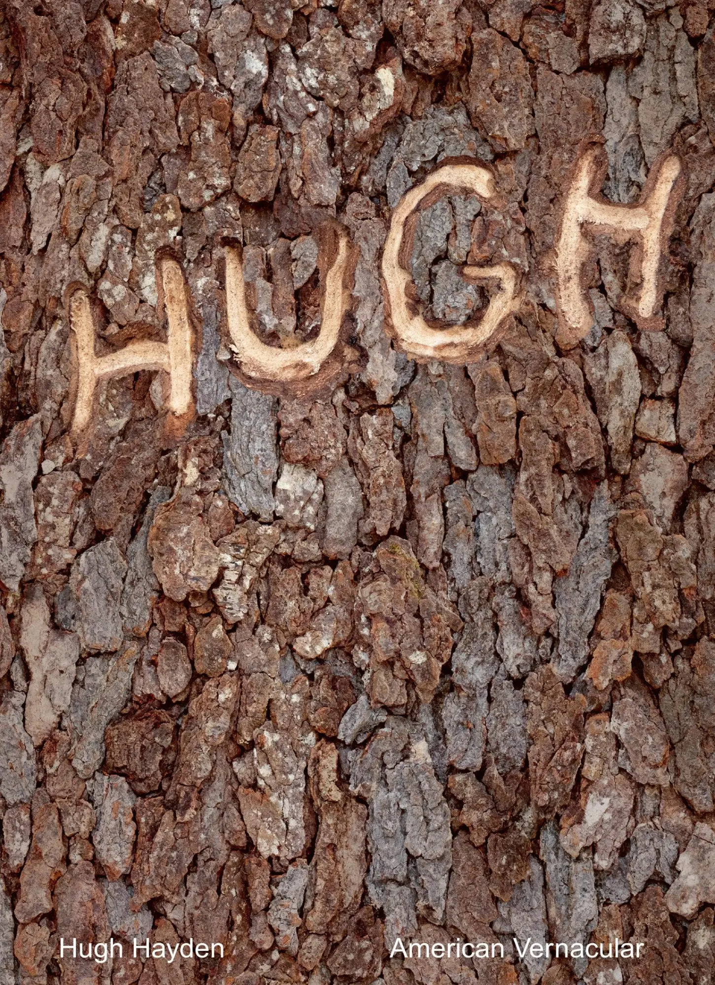 Cover: 9780262047999 | Hugh Hayden | American Vernacular | Sarah J Montross | Taschenbuch