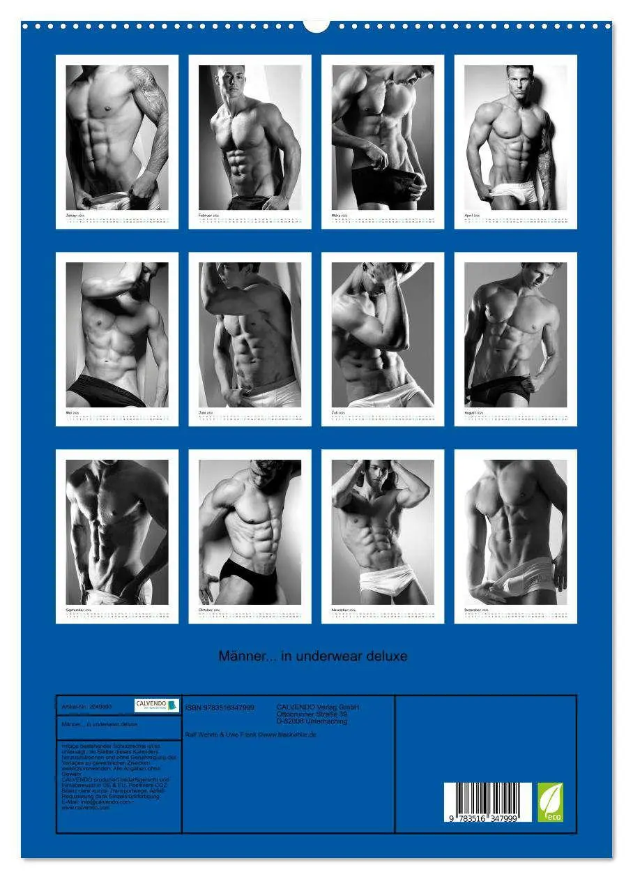 Bild: 9783516347999 | Männer... in underwear deluxe (hochwertiger Premium Wandkalender...