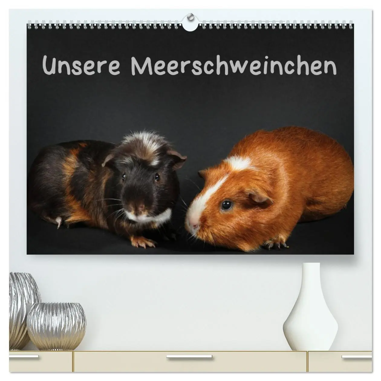 Cover: 9783457768099 | Unsere Meerschweinchen (hochwertiger Premium Wandkalender 2026 DIN...